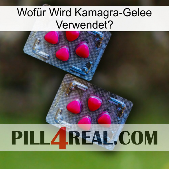 Wofür Wird Kamagra-Gelee Verwendet 14